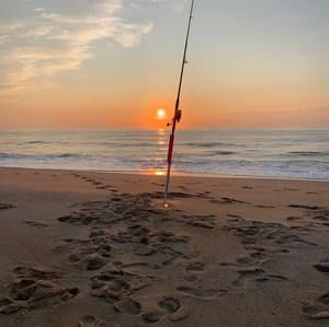 Meet your Posher, Mickey